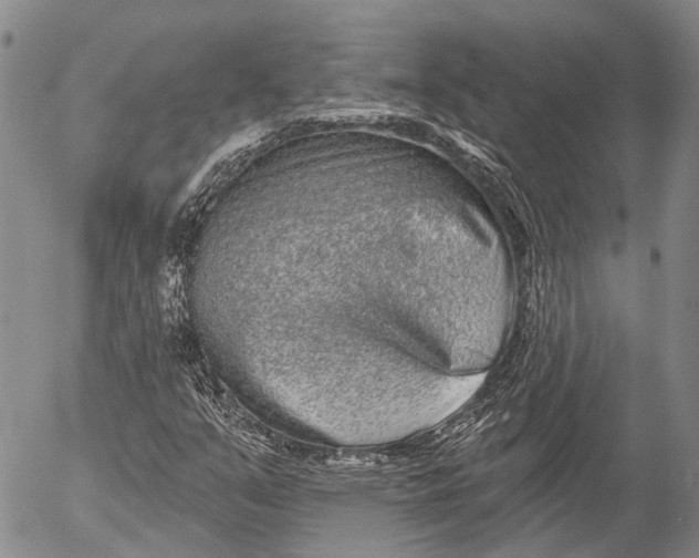 X0000052981351200507291541