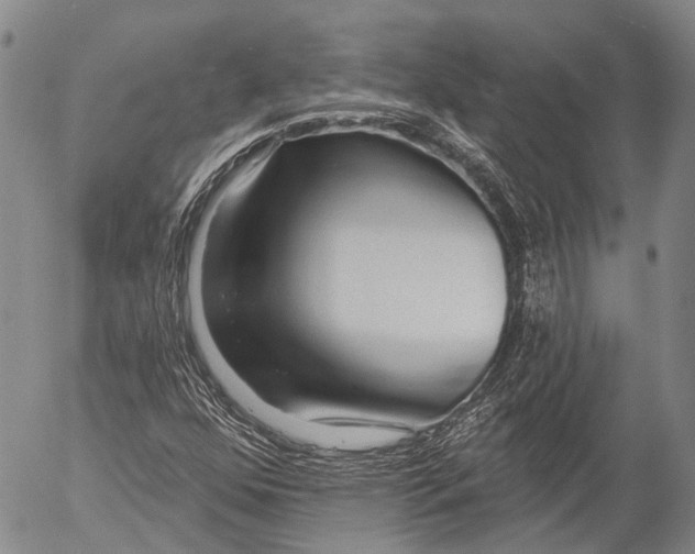 X0000052981352200507291541