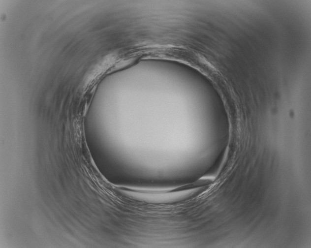 X0000052981354200507291541