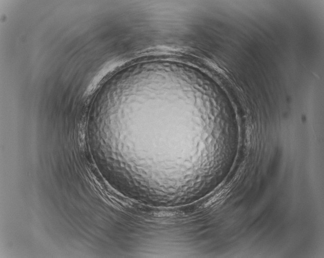 X0000052981355200507291541