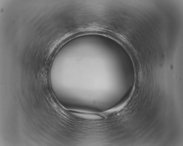 X0000052981356200507291541