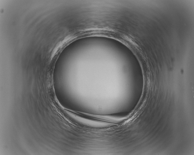 X0000052981357200507291541