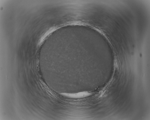 X0000052981359200507291541