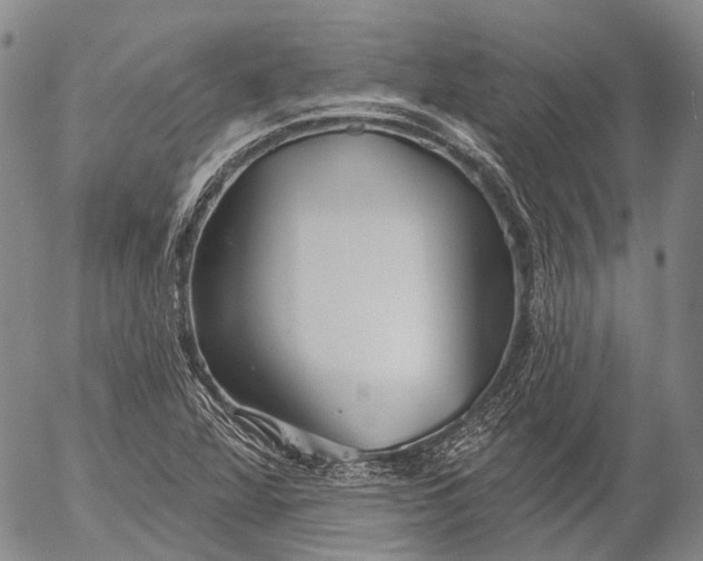 X0000052981360200507291541