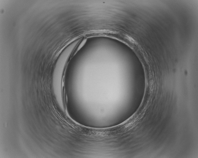 X0000052981361200507291541