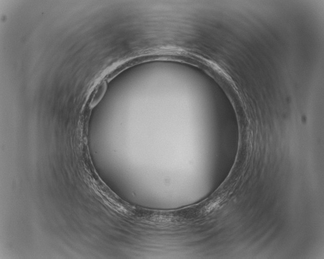 X0000052981364200507291541