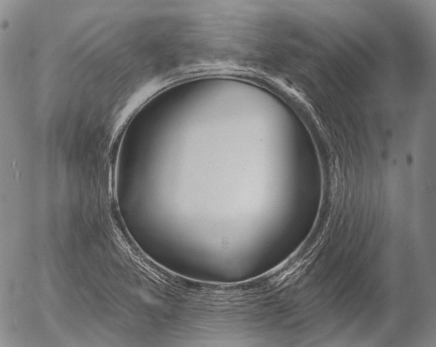 X0000052981365200507291541