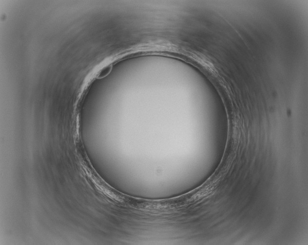 X0000052981366200507291541