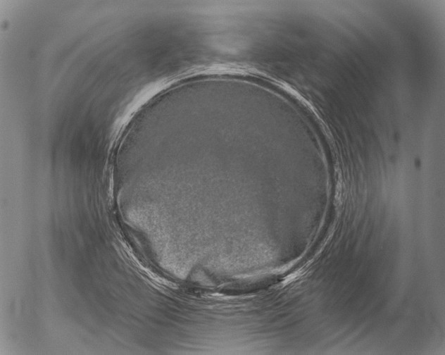 X0000052981367200507291541