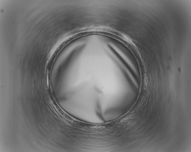 X0000052981368200507291541