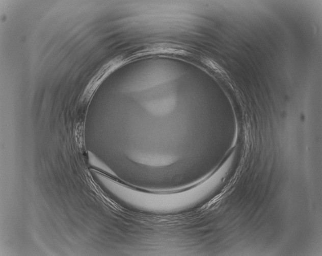 X0000052981369200507291541