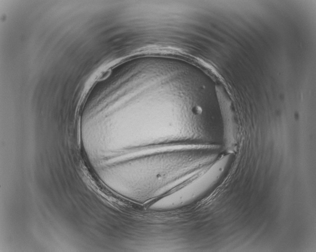 X0000052981371200507291541