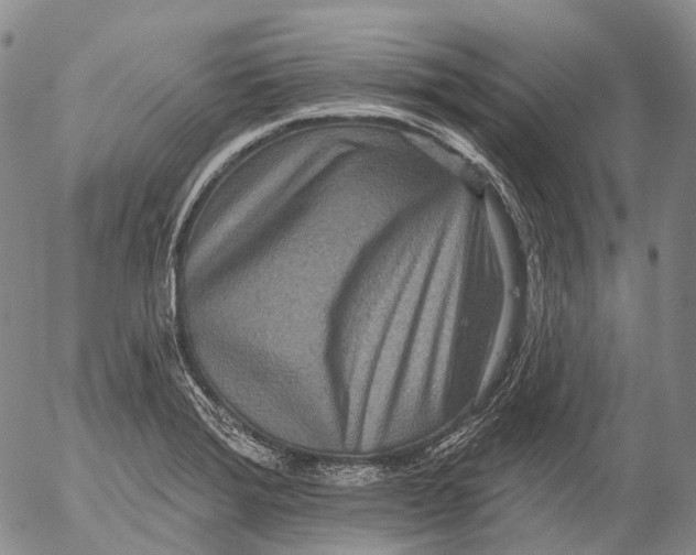 X0000052981372200507291541