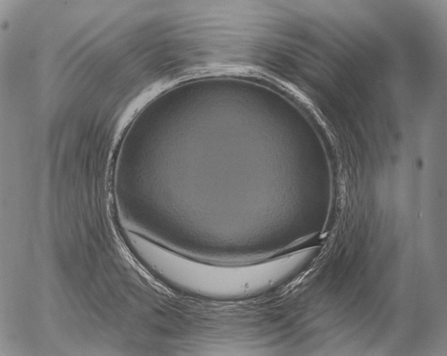 X0000052981373200507291541