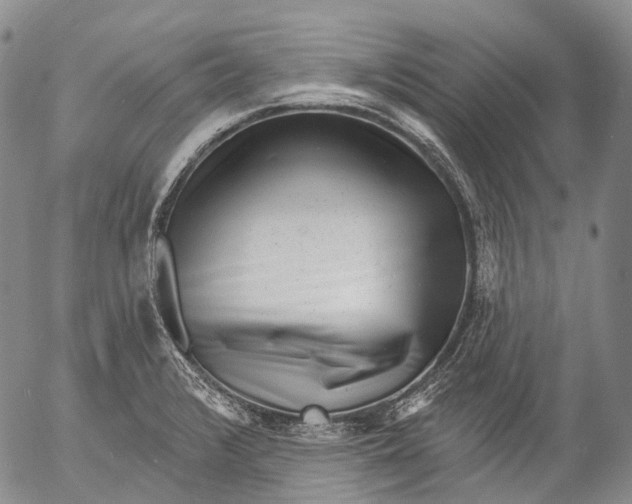 X0000052981376200507291541