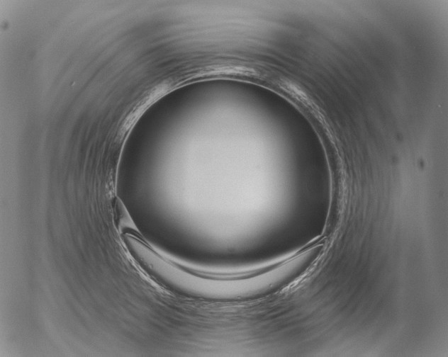 X0000052981377200507291541