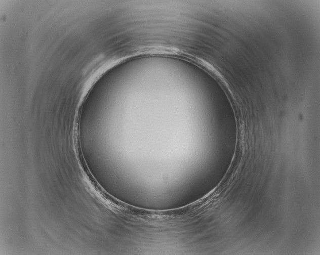 X0000052981379200507291541