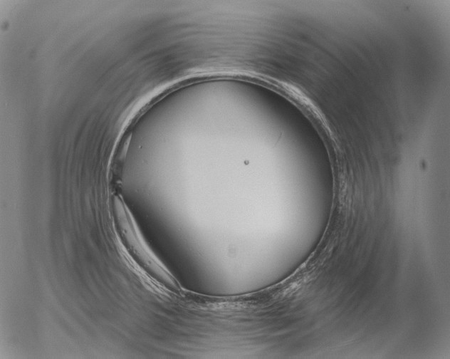 X0000052981380200507291541