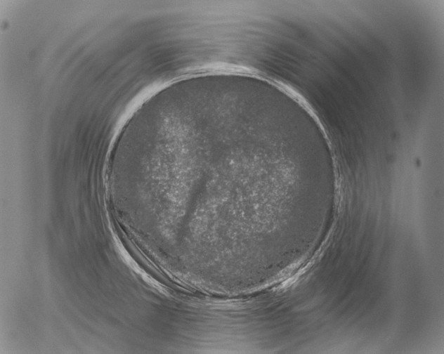 X0000052981381200507291541