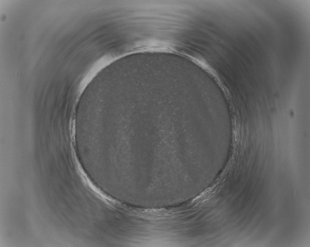 X0000052981383200507291541