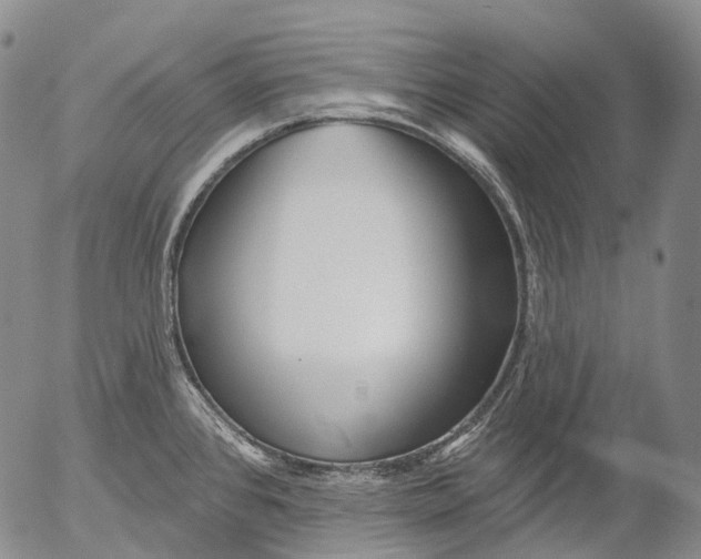 X0000052981384200507291540