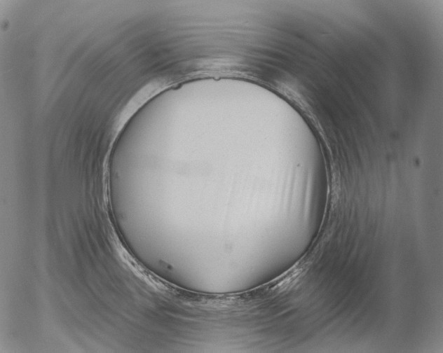 X0000052981386200507291540