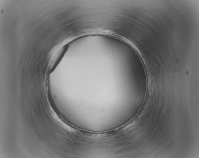 X0000052981387200507291540