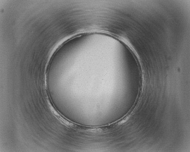 X0000052981388200507291540