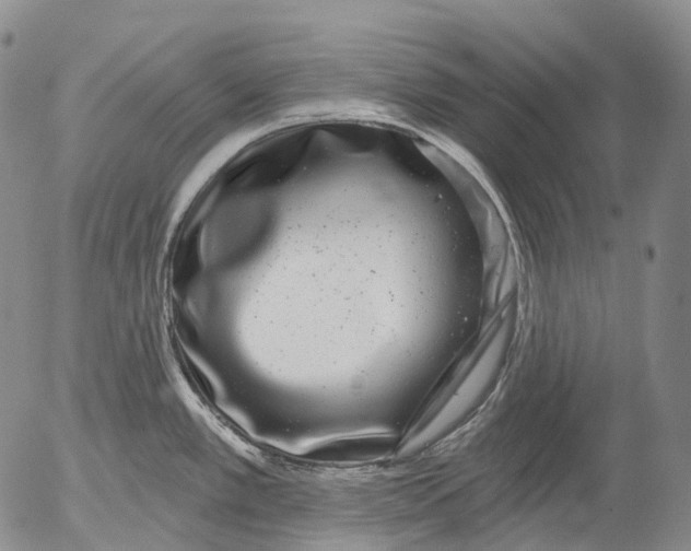 X0000052981389200507291540