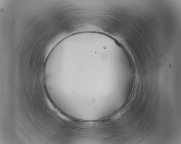 X0000052981390200507291540