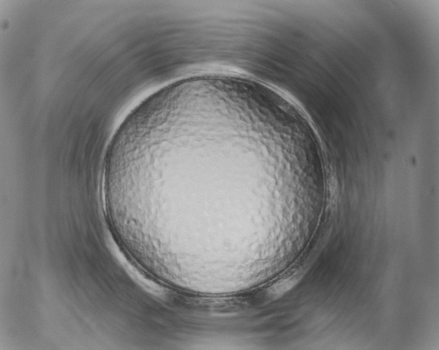 X0000052981391200507291540