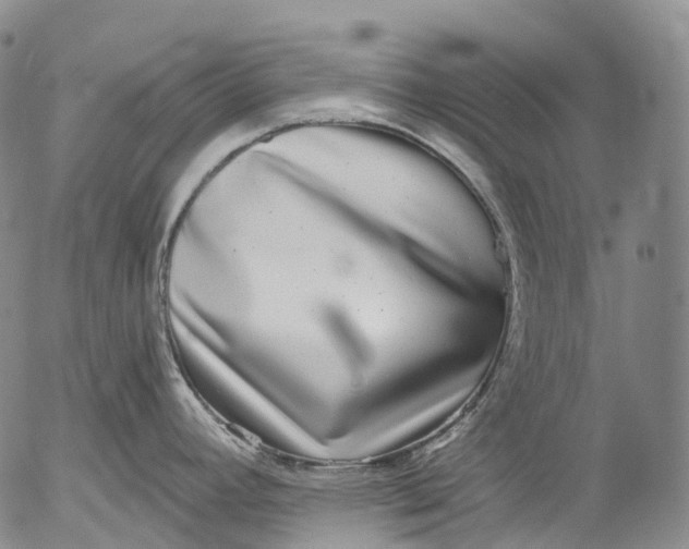 X0000052981392200507291540