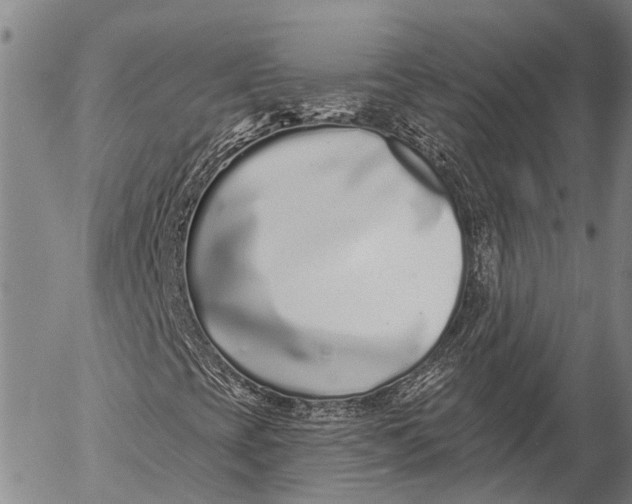 X0000052981393200507291540