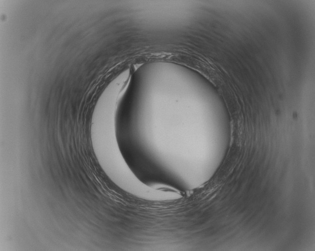 X0000052981394200507291540