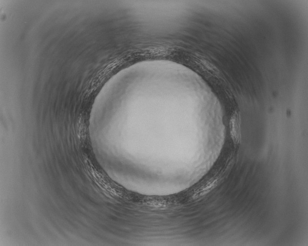 X0000052981395200507291540