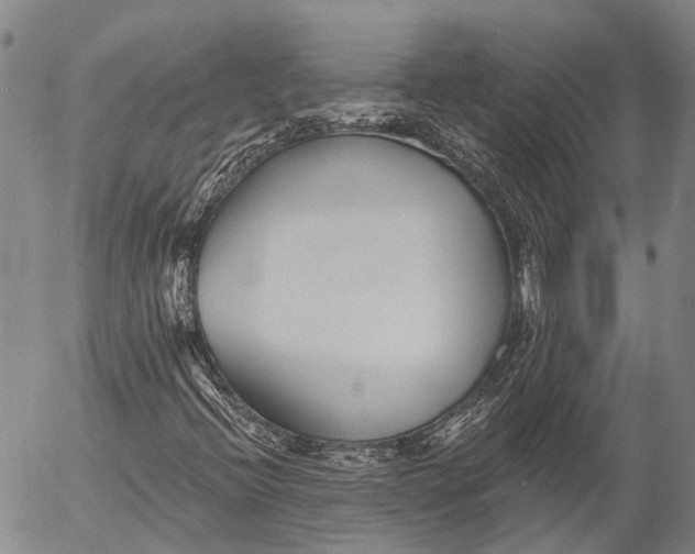 X0000052981396200507291540