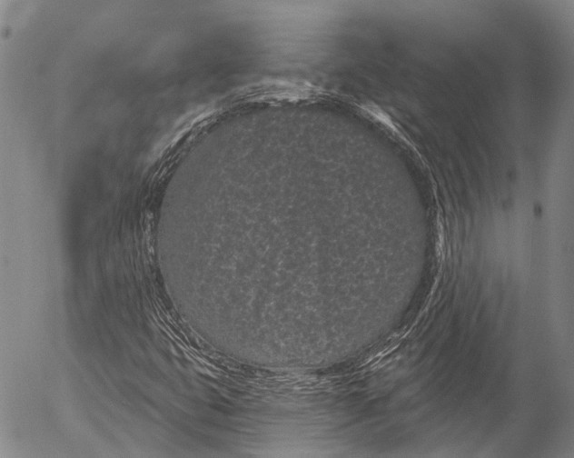 X0000052981399200507291540