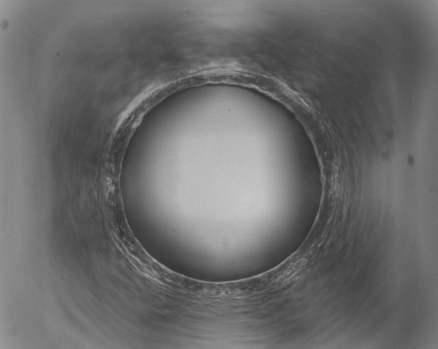 X0000052981400200507291540