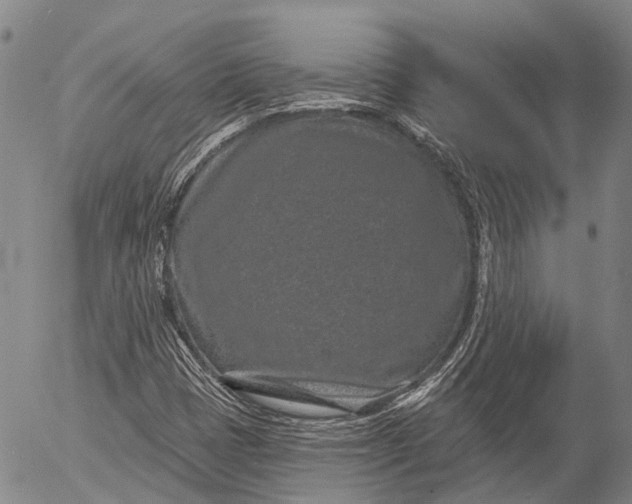 X0000052981401200507291540