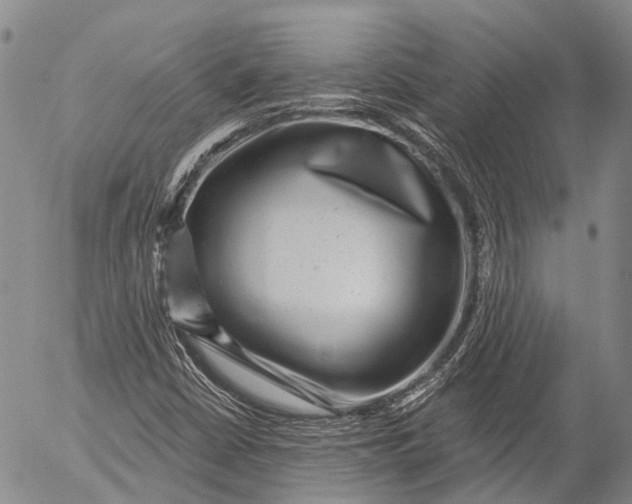 X0000052981402200507291540