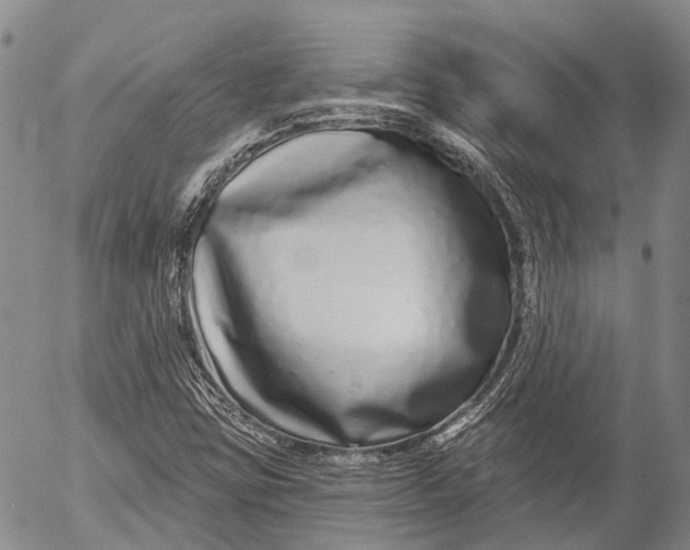 X0000052981403200507291540