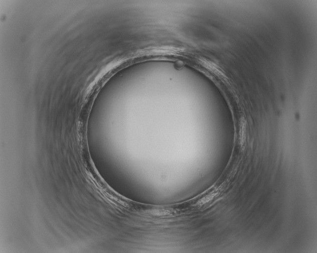 X0000052981404200507291540