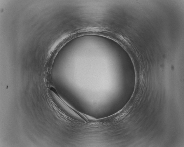 X0000052981406200507291540