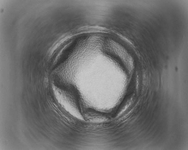 X0000052981407200507291540