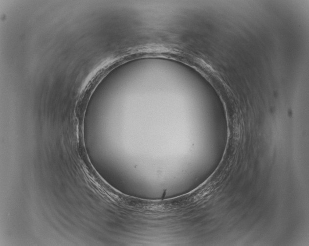 X0000052981408200507291540