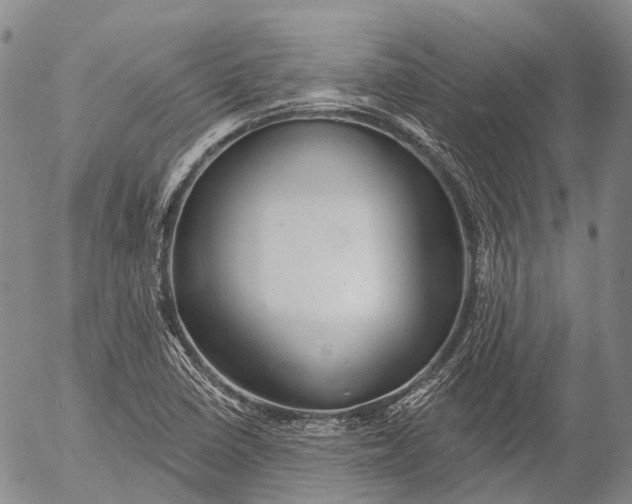 X0000052981410200507291540