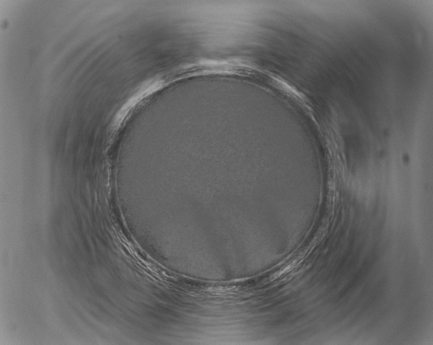 X0000052981411200507291540