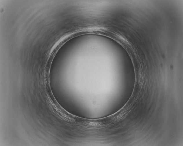 X0000052981412200507291540