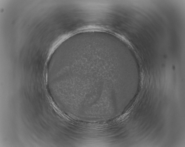 X0000052981413200507291540