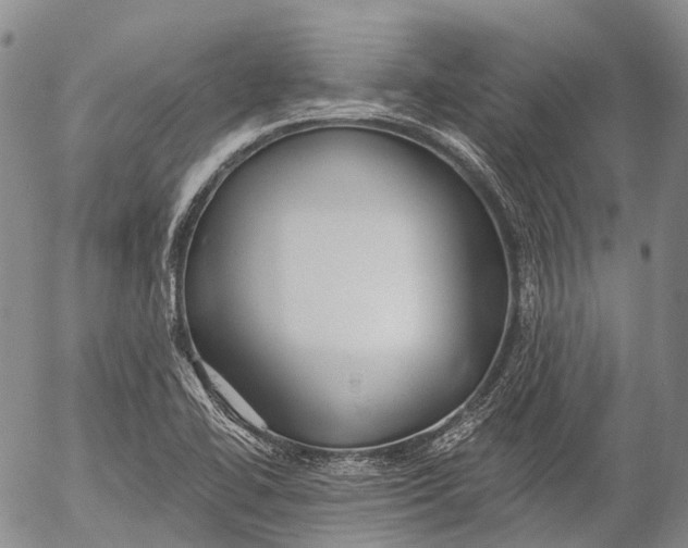 X0000052981414200507291540